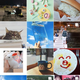 Image for article titled The memes that captured South Korea’s 2018, from bitcoin pain to North Korean cold noodles